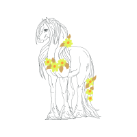 Mustang Animals Mustang Animals