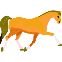 Mustang Animals Mustang Animals