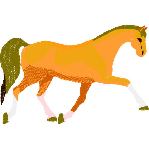 Mustang Animals Mustang Animals