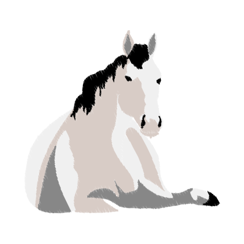 Mustang Animals Mustang Animals