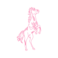 Mustang Animals Mustang Animals