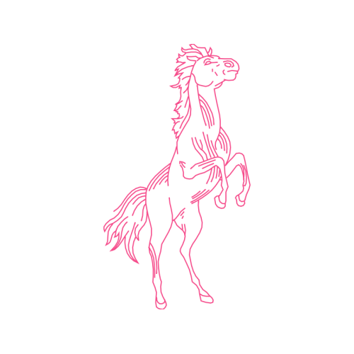 Mustang Animals Mustang Animals