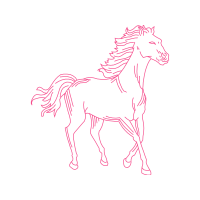 Mustang Animals Mustang Animals