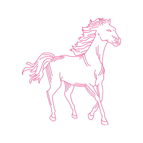 Mustang Animals Mustang Animals