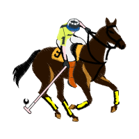 Mustang Animals Mustang Animals