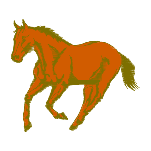 Mustang Animals Mustang Animals