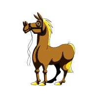 Mustang Animals Mustang Animals