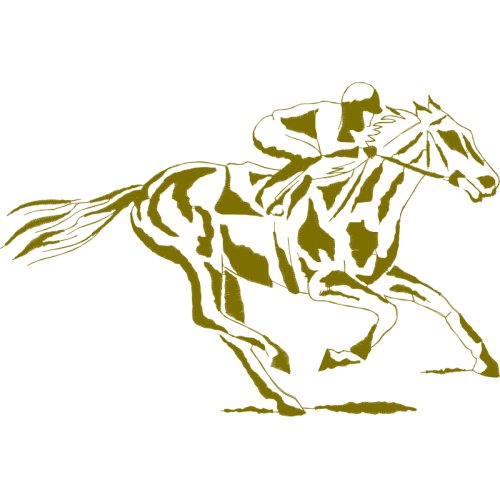 Mustang Animals Mustang Animals