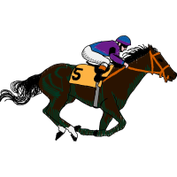 Mustang Animals Mustang Animals