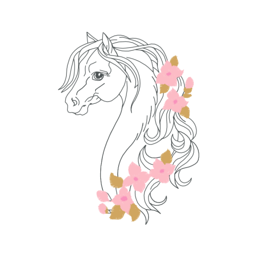 Mustang Animals Mustang Animals