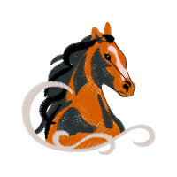 Mustang Animals Mustang Animals