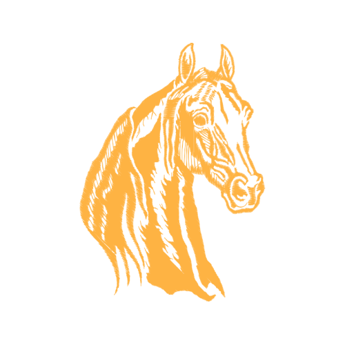 Mustang Animals Mustang Animals