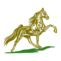 Mustang Animals Mustang Animals