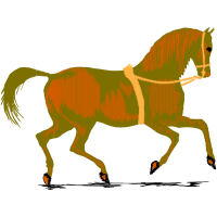 Mustang Animals Mustang Animals