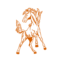 Mustang Animals Mustang Animals