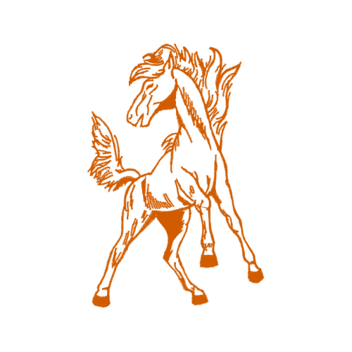 Mustang Animals Mustang Animals