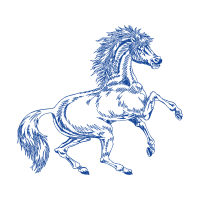 Mustang Animals Mustang Animals