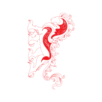 Seahorses Animals Seahorses Animals