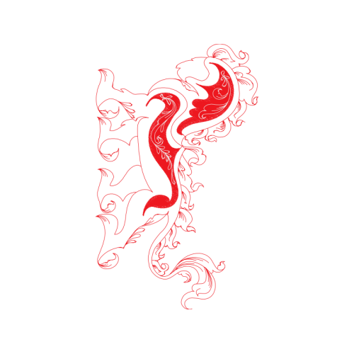 Seahorses Animals Seahorses Animals