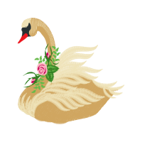 Seahorses Animals Seahorses Animals