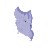 Seahorses Animals Seahorses Animals