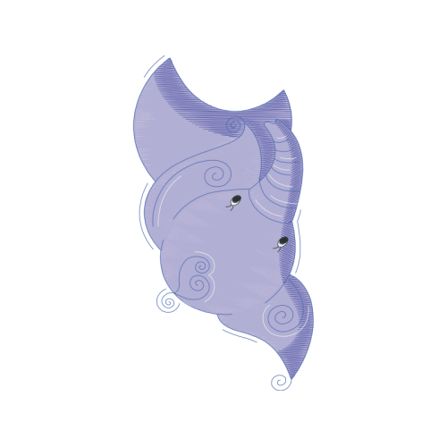 Seahorses Animals Seahorses Animals