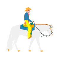 Stallion Animals Stallion Animals