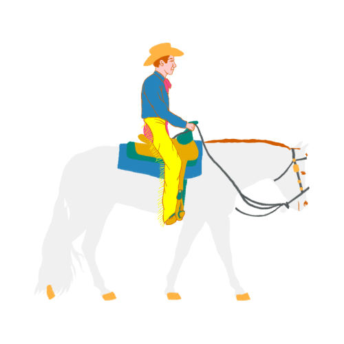 Stallion Animals Stallion Animals