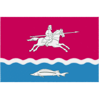 Stallion Animals Stallion Animals