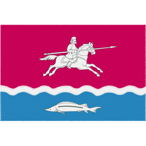 Stallion Animals Stallion Animals