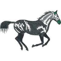 Thoroughbred Animals Thoroughbred Animals