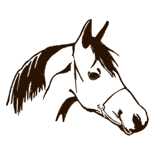 Ueno Horseback Riding Club Animals Ueno Horseback Riding Club Animals