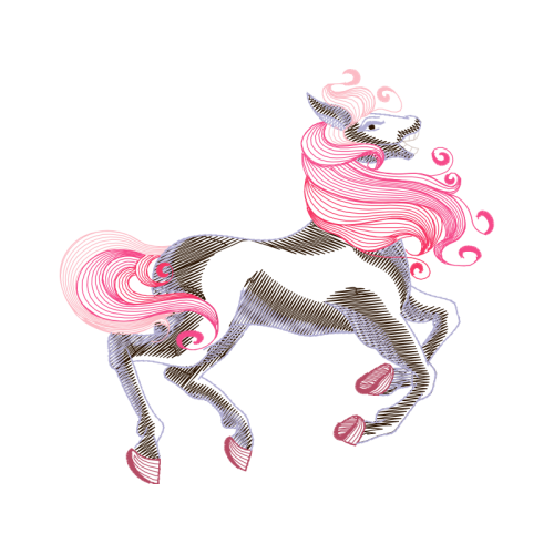 Visual Arts Animals Visual Arts Animals