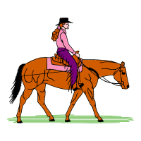 Western Pleasure Animals Western Pleasure Animals