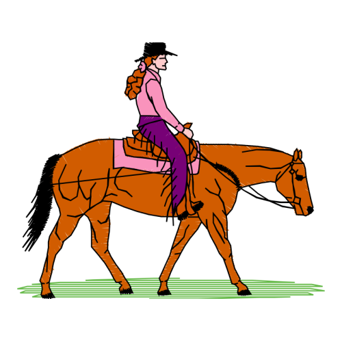 Western Pleasure Animals Western Pleasure Animals