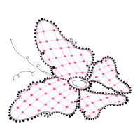 Abdominal Aorta Animals