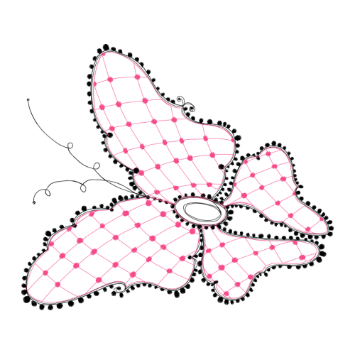 Abdominal Aorta Animals Abdominal Aorta Animals