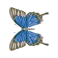 Adonis Blue Animals