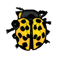 Airedale Terrier Animals