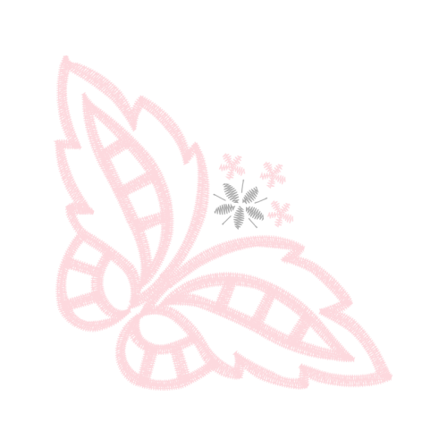 Alex Cafe Animals Alex Cafe Animals