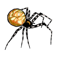 Angulate Orbweavers Animals