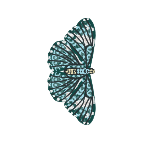 Image Animals Image Animals