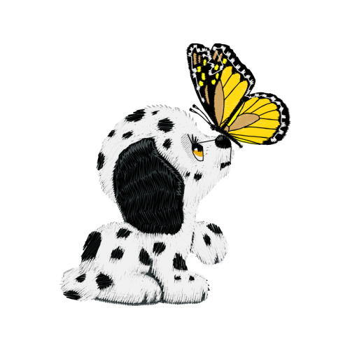 Image Animals Image Animals