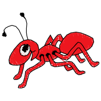 Ants Animals Ants Animals