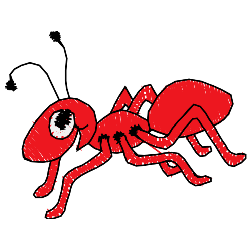 Ants Animals Ants Animals