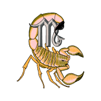 Art Animals Art Animals