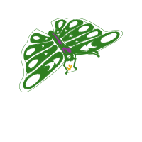 Art Animals Art Animals