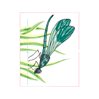 Art Animals Art Animals