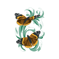 Art Animals Art Animals