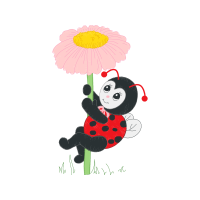 Barberton Daisy Animals